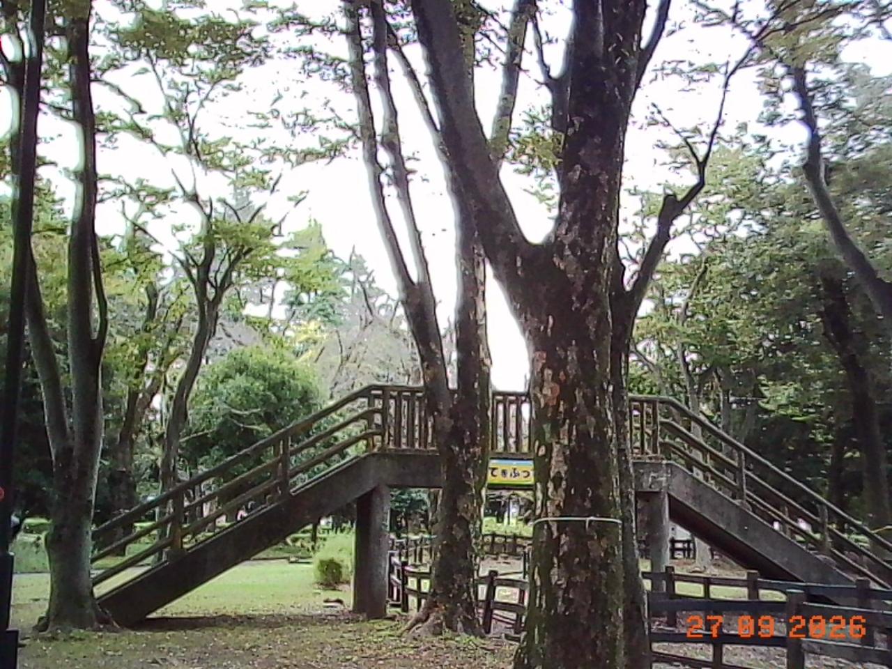 Charmera photo: tall trees around a wooden footbridge in a park under a white overcast sky; the date stamp reads 27 09 2026.